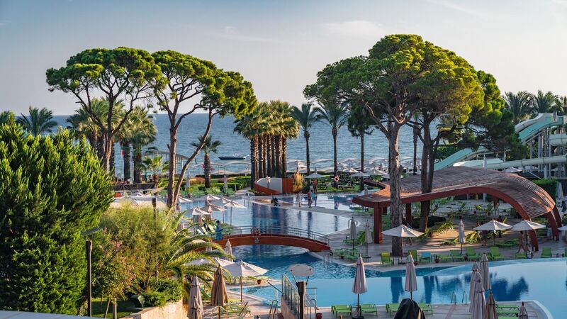 Paloma Sencia (Ex.Cornelia Deluxe)