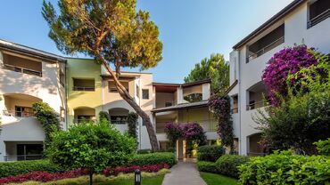 Paloma Sencia (Ex.Cornelia Deluxe)